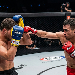 Finger Freedom: Open-Finger vs. Closed-Finger MMA Gloves