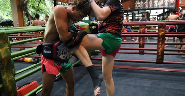 How to Maintain and Care for Your Muay Thai Shorts the Right Way