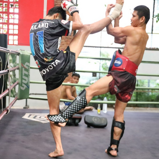 Choosing the Right Muay Thai Shin Guards
