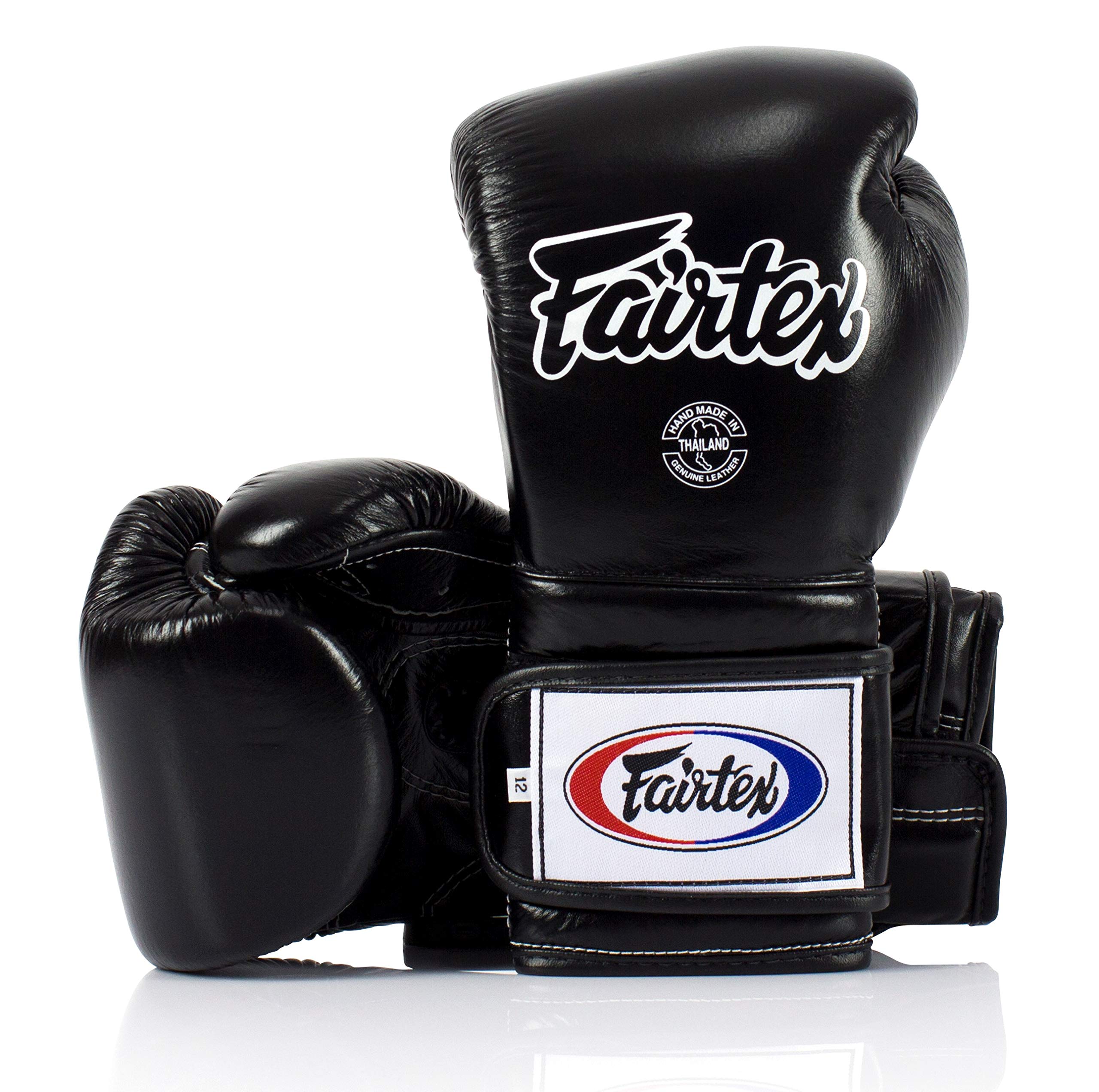 Fairtex BGV9 Gloves