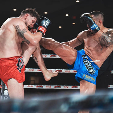 Fairtex Muay Thai Pro Gloves