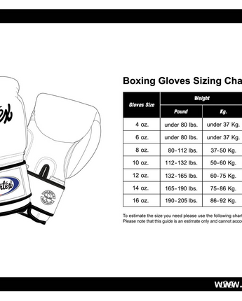 Fairtex Glory BGLG2 Black Kickboxing Glove-Outlet