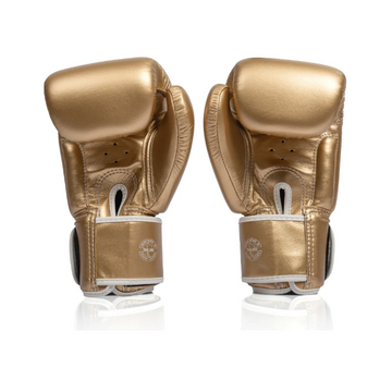 Fairtex BGV1C-PLUS: The Ultimate Microfiber Boxing Gloves for Performance