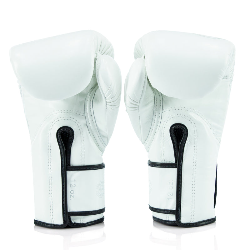 Fairtex BGVG3 Glory Kickboxing Gloves - Limited Edition