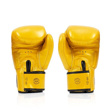 Fairtex BGV19 Deluxe Tight-Fit Gloves