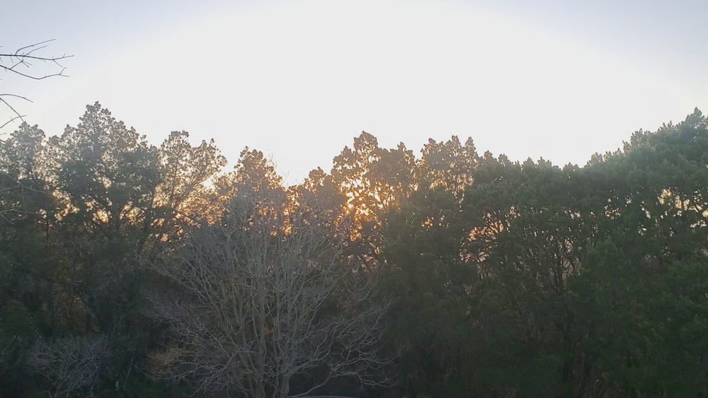 Fairtex BPV1 Belly Pad Rib Guard Body Protector