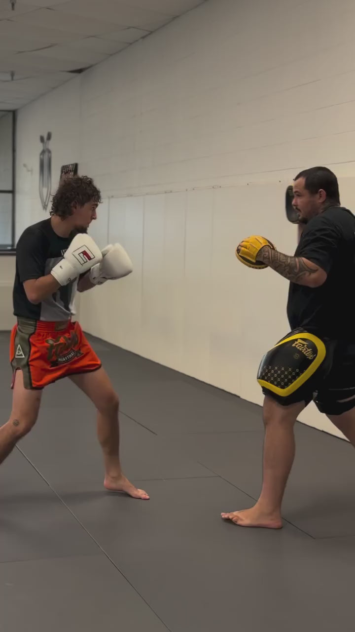 Fairtex FMV9 Contoured Focus Mitts