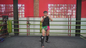 Fairtex SP9 Ultra Ergo Shin Pads | Muay Thai, Kickboxing Shin Guards Made with Syntek Leather