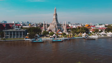 Fairtex SP9 Ultra Ergo Shin Pads | Muay Thai, Kickboxing Shin Guards Made with Syntek Leather