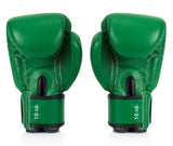 Fairtex BGV16 Leather Muay Thai Boxing Gloves - Fairtex Store