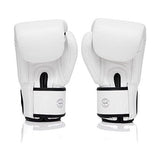 Fairtex BGV1 ONE Muay Thai Boxing Sparring Gloves - Fairtex Store