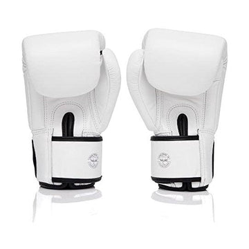Fairtex BGV1 ONE Muay Thai Boxing Sparring Gloves - Fairtex Store