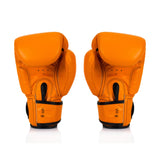 Fairtex BGV16 Leather Muay Thai Boxing Gloves - Fairtex Store