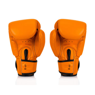 Fairtex BGV16 Leather Muay Thai Boxing Gloves - Fairtex Store