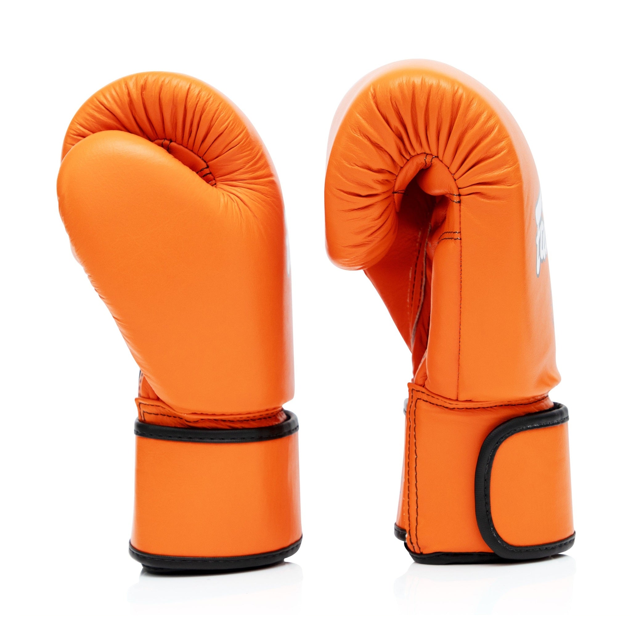Fairtex BGV16 Leather Muay Thai Boxing Gloves - Fairtex Store