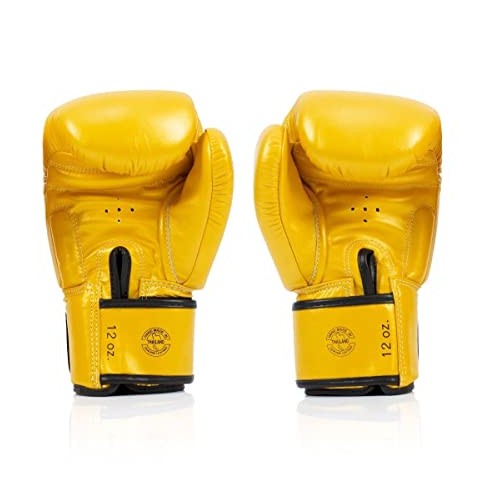 Fairtex BGV19 Deluxe Tight-Fit Gloves - Fairtex Store
