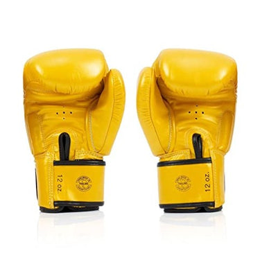 Fairtex BGV19 Deluxe Tight-Fit Gloves - Fairtex Store