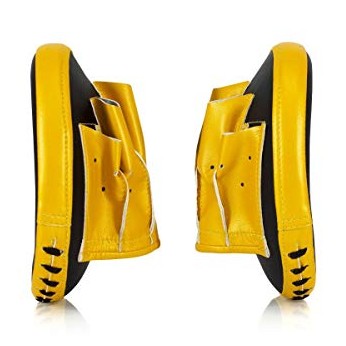 Fairtex FMV15 Cuved Muay Thai Boxing Focus Punch Mitts (Pair) - Fairtex Store