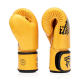 Fairtex Falcon BGV1 Muay Thai Boxing Glove - Fairtex Store