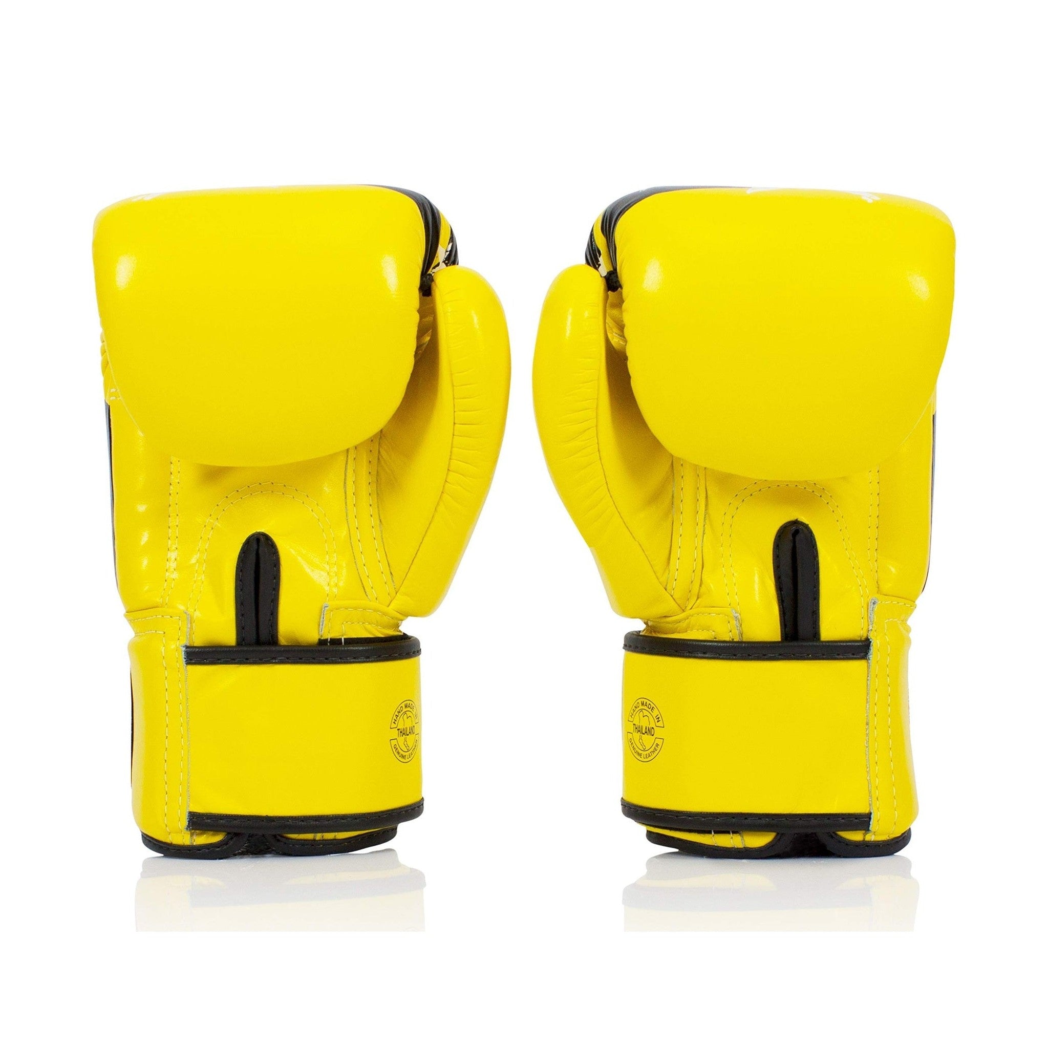 Fairtex Nation BGV1 Muay Thai Boxing Glove - Fairtex Store