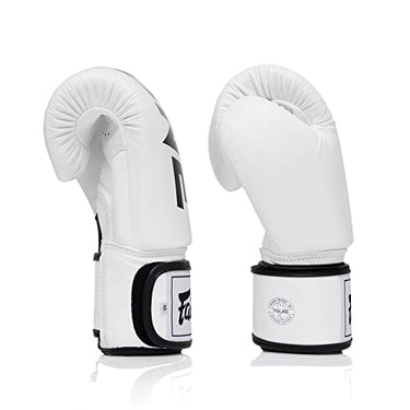 Fairtex BGV1 ONE Muay Thai Boxing Sparring Gloves - Fairtex Store